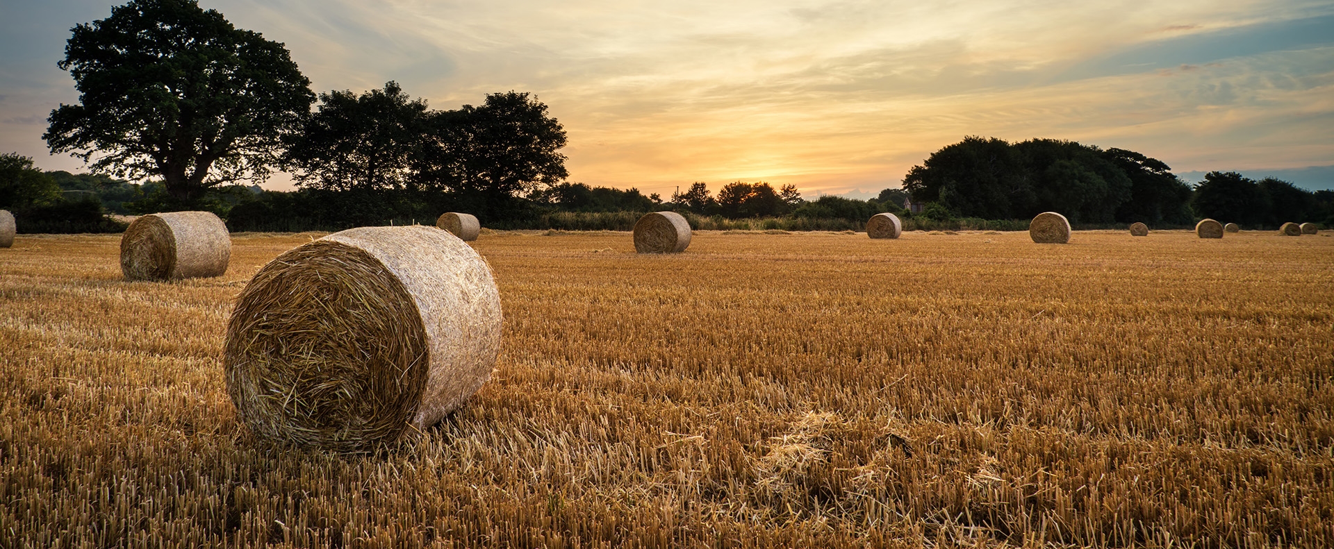 hay bales with sun setting