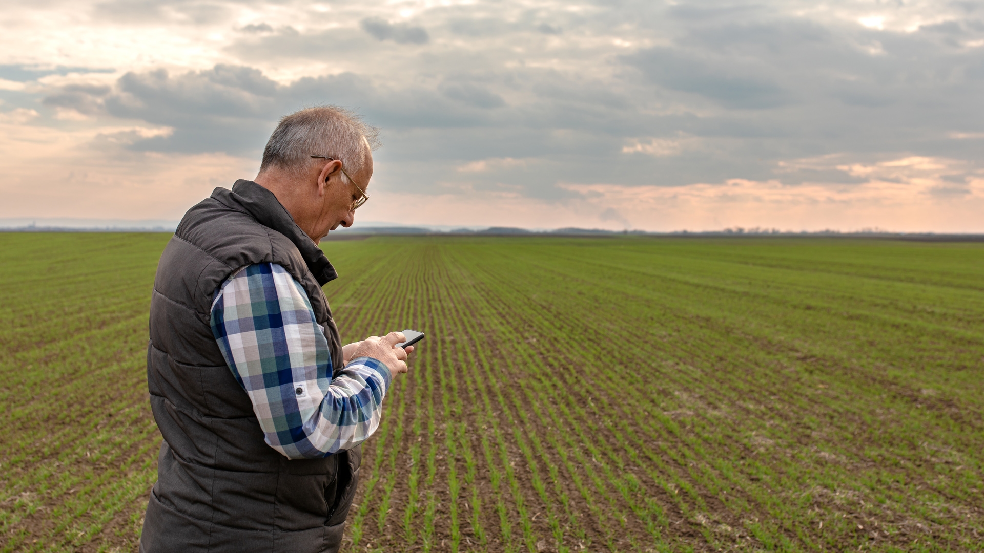 man in field on phone